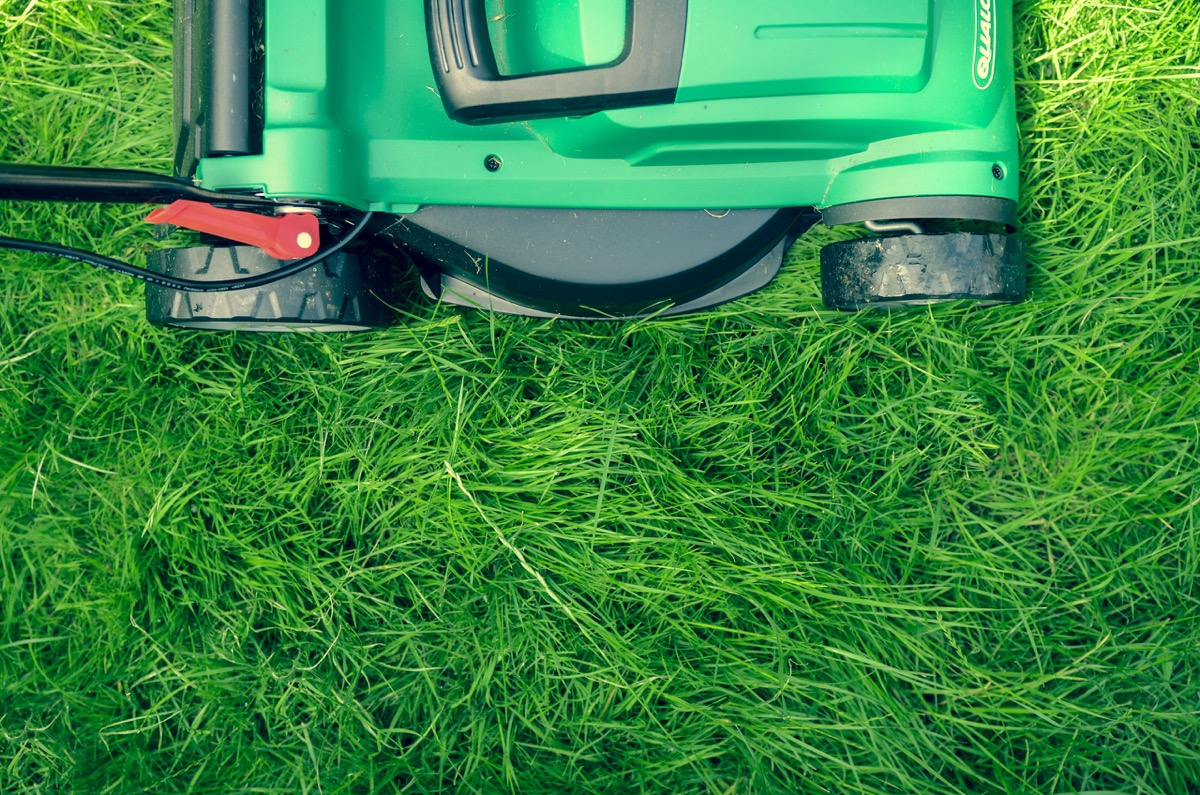 green and black lawn mower on freshly cut green grass lawn
